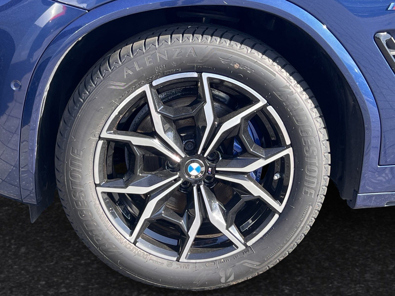 BMW X4 xDrive30d M Sportpaket Head-Up HiFi DAB LED foto 6