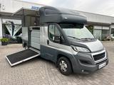Peugeot Boxer MSG Pferdetransporter 3,5t Stablehopper - Tier-/Pferdetransport 3 pferde