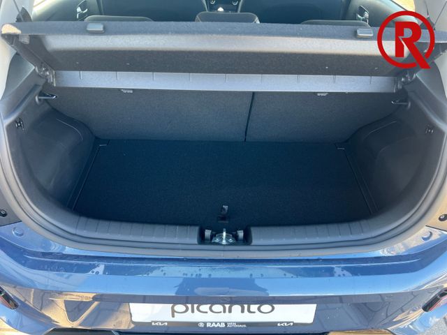 Picanto Vision 1.2 Android Auto Apple CarPlay Na