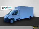 Opel Movano 3,5t L3 Evels Kofferaufbau - Opel Movano Koffer Gebrauchtwagen