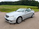 Mercedes-Benz CLK 350 Cabrio - Mercedes-Benz CLK 350 Benziner Gebrauchtwagen