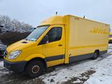 Mercedes-Benz Sprinter/SXS906PD35/Koffer/Regalsystem - : Van, Koffer