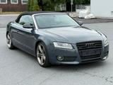 Audi A5 Cabriolet 3.0 TDI quattro S-Line/Bi-Xenon/PDC - Audi mit Diesel-Antrieb: Cabrio