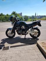 Suzuki 1200 Bandit (GV75A) - SUZUKI 2000 BANDIT 1200