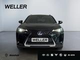 Lexus UX 250h Style Edition *Bi-LED*ACC*CAM*SHZ*CarPla - Lexus UX Gebrauchtwagen