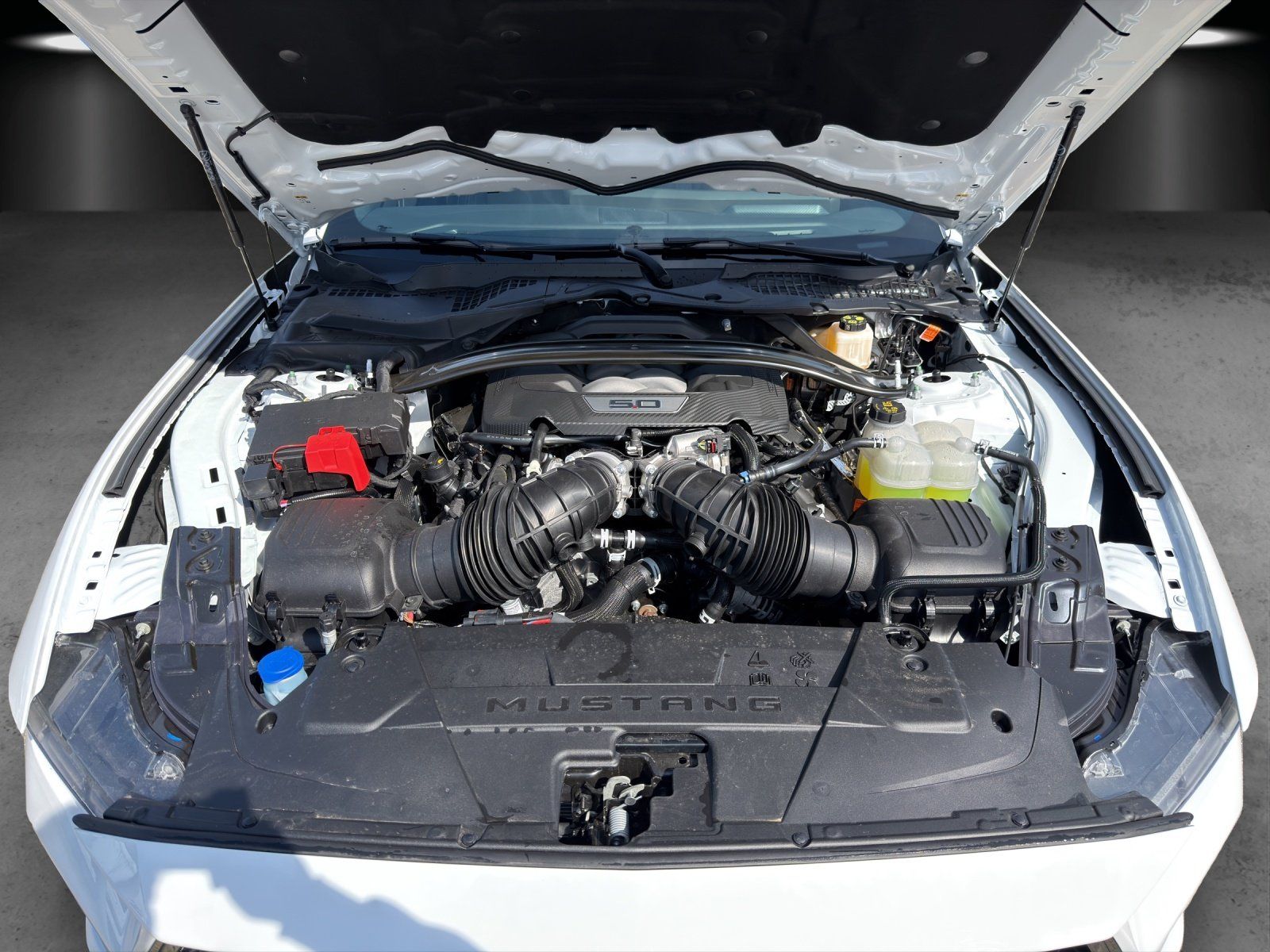 Fahrzeugabbildung Ford Mustang Convertible GT 446PS MagneRide
