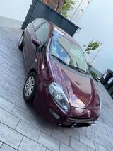 Fiat Punto Diesel 2013 - Fiat Punto in Mainz