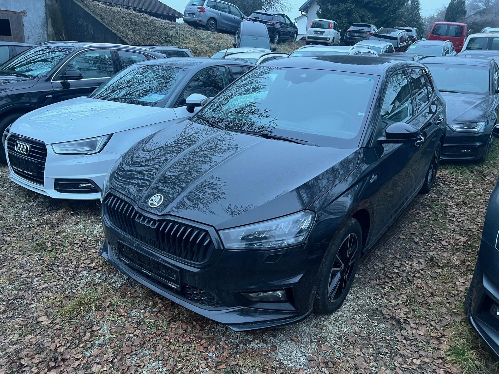 Skoda Fabia Monte Carlo 1,0TSI DSG LED SITZHEIZUNG