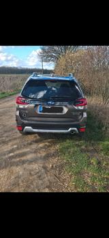 Subaru Forester 2.0ie Active Lineartronic Active - gebrauchte Subaru Forester aus dem Jahr 2023