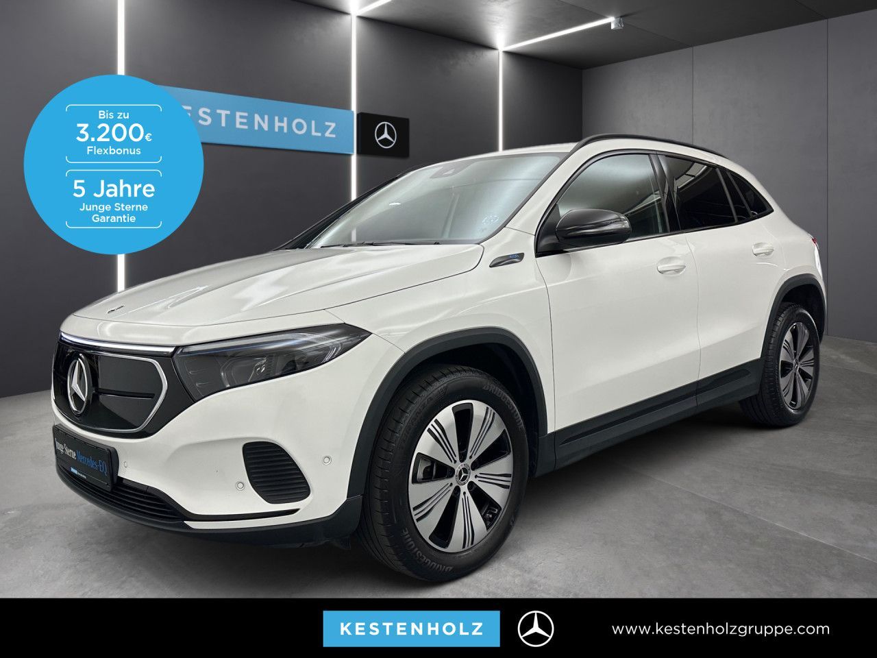 MERCEDES-BENZ EQA 250 LED Night Kamera Laderaump Spurhalt-Ass