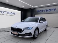Skoda Octavia - Vorschau Bild 2