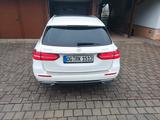 Mercedes-Benz E 400 d 4MATIC T Autom. - - Mercedes-Benz E 400 mit Diesel-Antrieb: Kombi