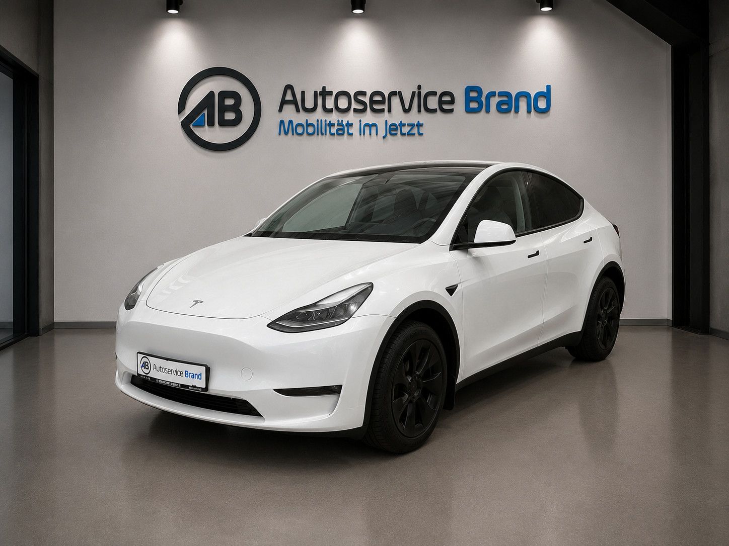 TESLA Model Y Long Range Dual AWD