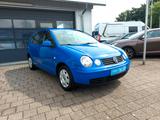 Volkswagen Polo IV 1.4 Cricket /ALLWETTER/KLIMA/TEMPOMAT - Volkswagen Polo aus 2004