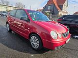 Volkswagen Polo 1.4 55kW 1,4 TEMPO SHZ Schiebedach KLIMA - gebrauchte VW Polo aus dem Jahr 2000