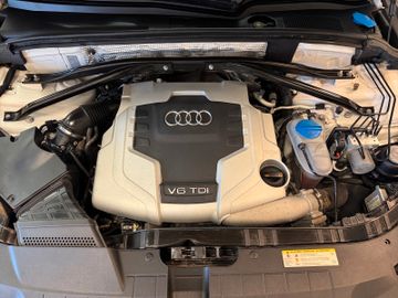 Audi Q5 - 11