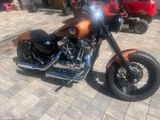 Harley-Davidson Sportster XL1200Custom - HARLEY-DAVIDSON 2008 SPORTSTER 1200