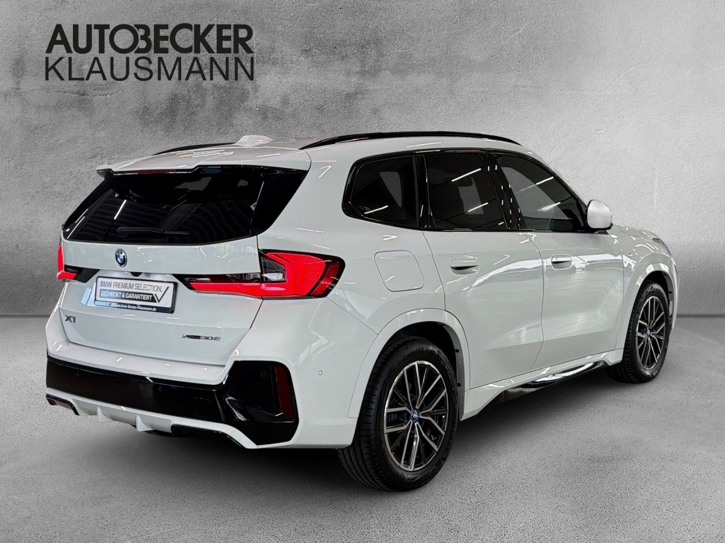 BMW X1 xDrive30e M Sport 18''LC PROF HuD AHK 360°PAR foto 2