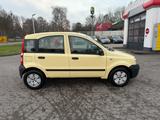 Fiat Panda 1.1 8V Active*KEIN TÜV* - gebrauchte Fiat Panda aus dem Jahr 2007