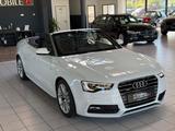 Audi A5 Cabriolet 3.0 TFSI quattro - Audi A5: 3.0