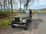 Jeep CJ 5 /Willys/M38a1 - Jeep CJ Gebrauchtwagen