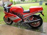 Ducati 750 Sport - DUCATI 750 SPORT