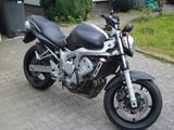Yamaha FZ 6 RJ14 Faser - YAMAHA 2008 FZ1