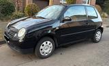Volkswagen Lupo 1.0 - Volkswagen Lupo: Schwarz