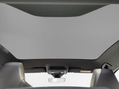 Fahrzeugabbildung Skoda Enyaq CoupeRS AHK DCC Family TRAVELLER 21"Vision