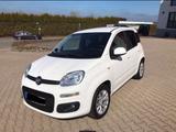 Fiat Panda 1.2  EZ 2018 - Fiat Panda Gebrauchtwagen in Bochum