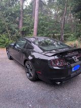 Ford Mustang V8 - Ford Mustang: For