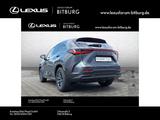 Lexus NX 350 Business Line - 15 Jahre Lexus Relax Gara - Lexus: Nx