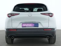 Mazda CX-30 - Vorschau Bild 7