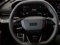 Audi SQ5 - Vorschau Bild 9