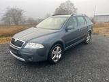Skoda Octavia Scout 2,0 TDI 4x4 - Skoda Octavia aus 2008: Scout