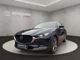 Mazda CX-30 SELECTION 186 PS +LEDER+360°KAMERA+BOSE+ - Mazda CX-30 Selection mit Hybrid-Antrieb (Benzin/Elektro)