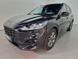 Ford Kuga 2.0 EcoBlue MHEV ST-Line Navi LED - gebrauchte Ford Kuga aus dem Jahr 2020