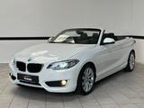 BMW 220i Cabrio Advantage Bi-Xenon*Klimaaut*Sitzheiz - gebrauchte BMW 220 aus dem Jahr 2015