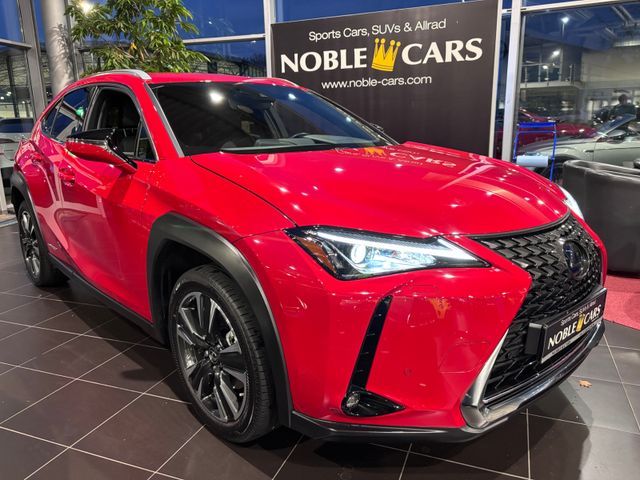 Lexus UX 250 h Style RFK LED CarPlay