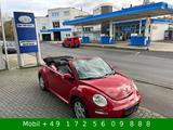 Volkswagen New Beetle Cabriolet 2.0 Freestyle Leder - Volkswagen New Beetle: Freestyle