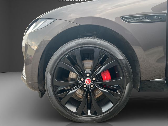 Fahrzeugabbildung Jaguar F-PACE D300 R-Dynamic Black Limited Pano AHK