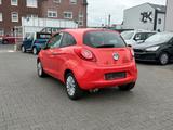 Ford Ka Titanium-2-HAND-Zahnriemen Neu - : Kleinwagen, Zahnriemen