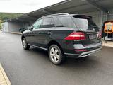 Mercedes-Benz ML 350 4M /19''/7G/ILS/Schiebedach/Distronic/AHK - gebrauchte Mercedes-Benz ML 350 aus dem Jahr 2013