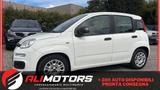Fiat Panda 1.0 FireFly S&S Hybrid Easy - Fiat Panda EASY mit Hybrid-Antrieb (Benzin/Elektro)