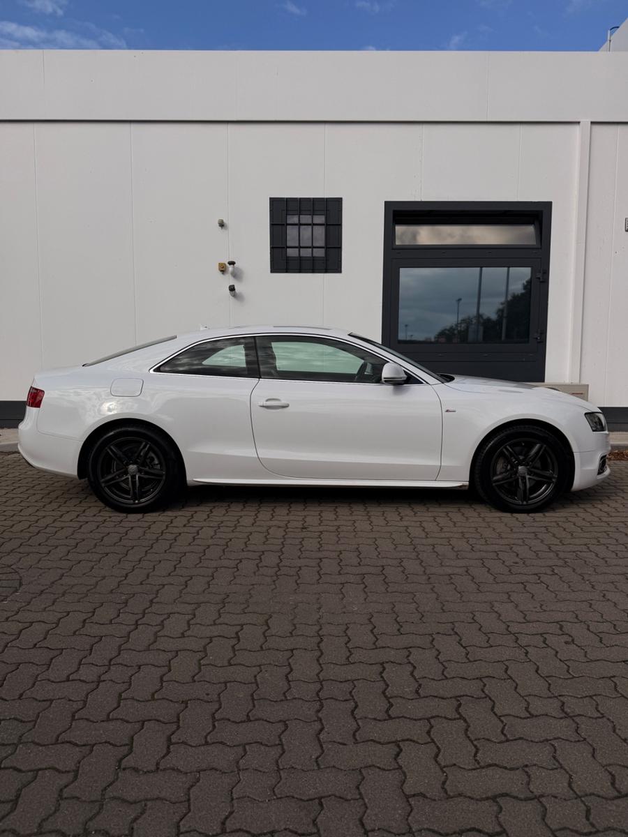 Audi A5 Coupe 2.0 TFSI SHZ Bi-Color Leder Motor Neu