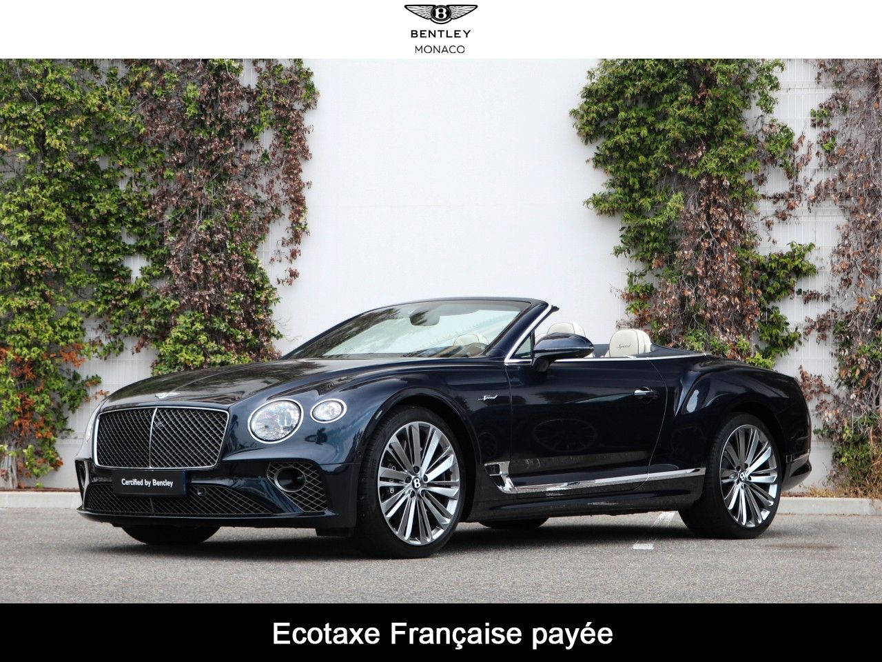 BENTLEY Continental GTC
