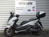 Honda NSS 125 Forza ABS * 13.800km * - HONDA ROLLER 125