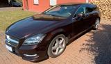 Mercedes-Benz CLS 350 Shooting Brake AMG 4 WD 265PS Cupritbrau - Mercedes-Benz CLS 350 Shooting Brake Gebrauchtwagen