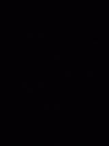 Opel Zafira 1.6 16V Comfort Comfort - Opel Zafira Comfort mit Benzin-Antrieb