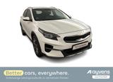 Kia XCeed Platinum Edition 1.6 GDI DCT6 OPF - Kia XCeed Gebrauchtwagen